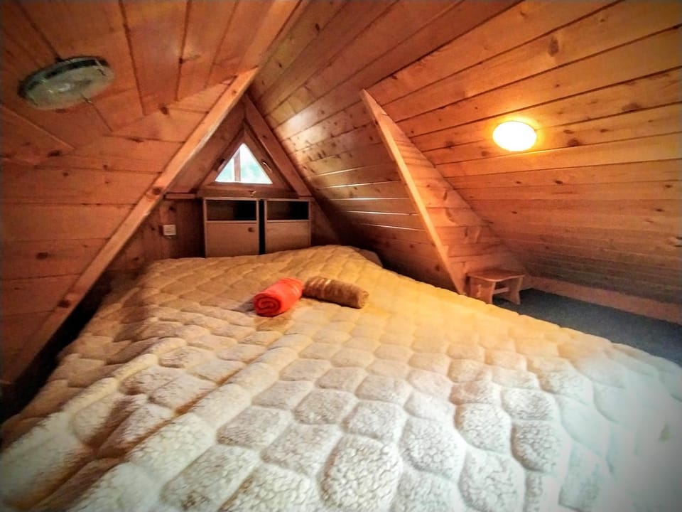 Bed, Photo of the whole room