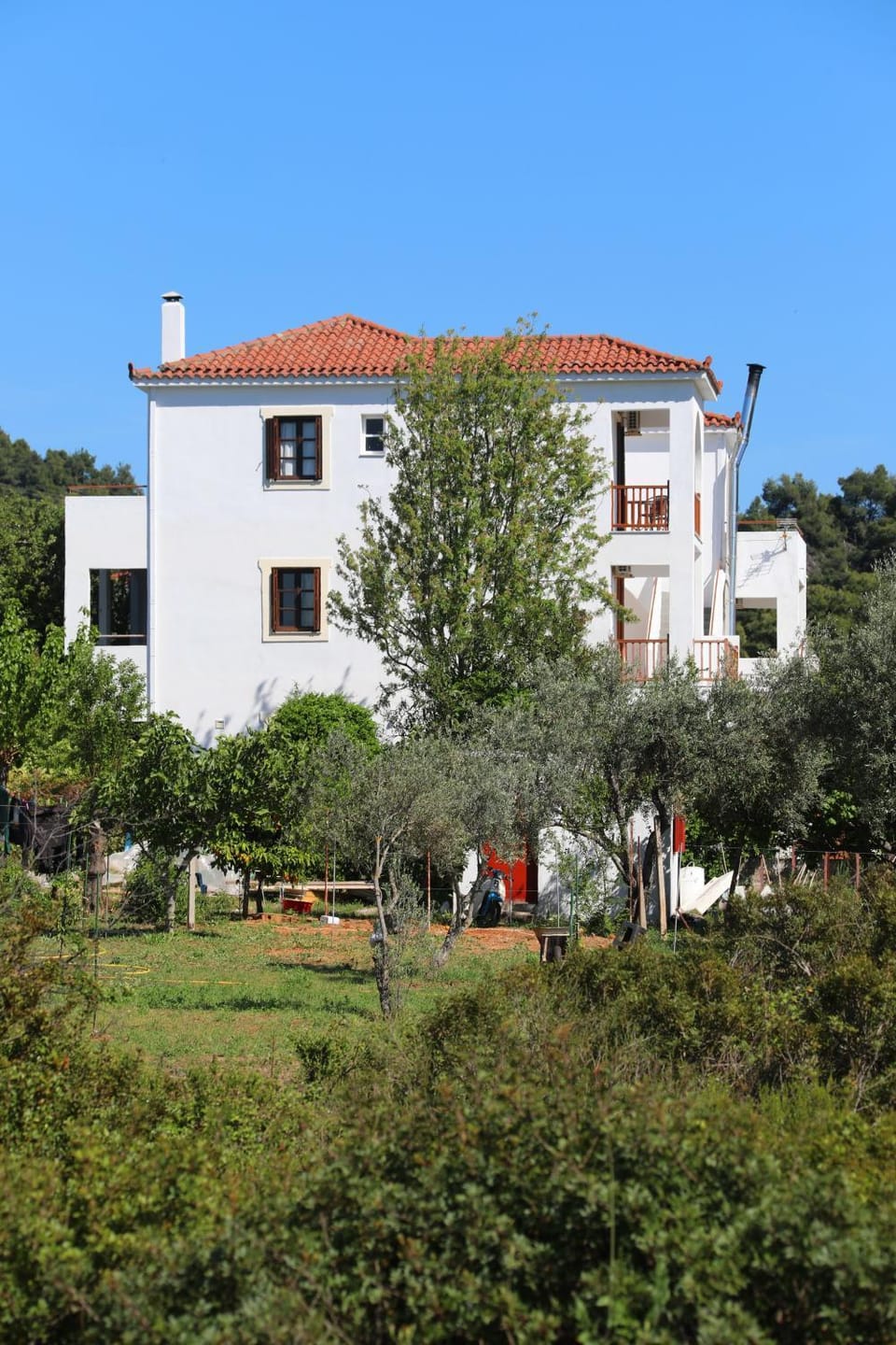 O Ampelonas tou kyr Giorgou Apartment in Sporades, Greece