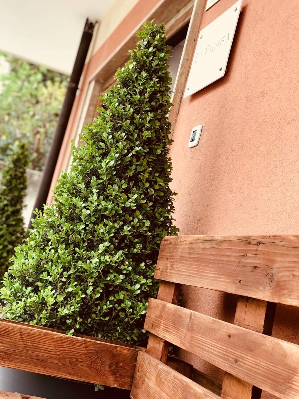 La Pachira House in Agropoli