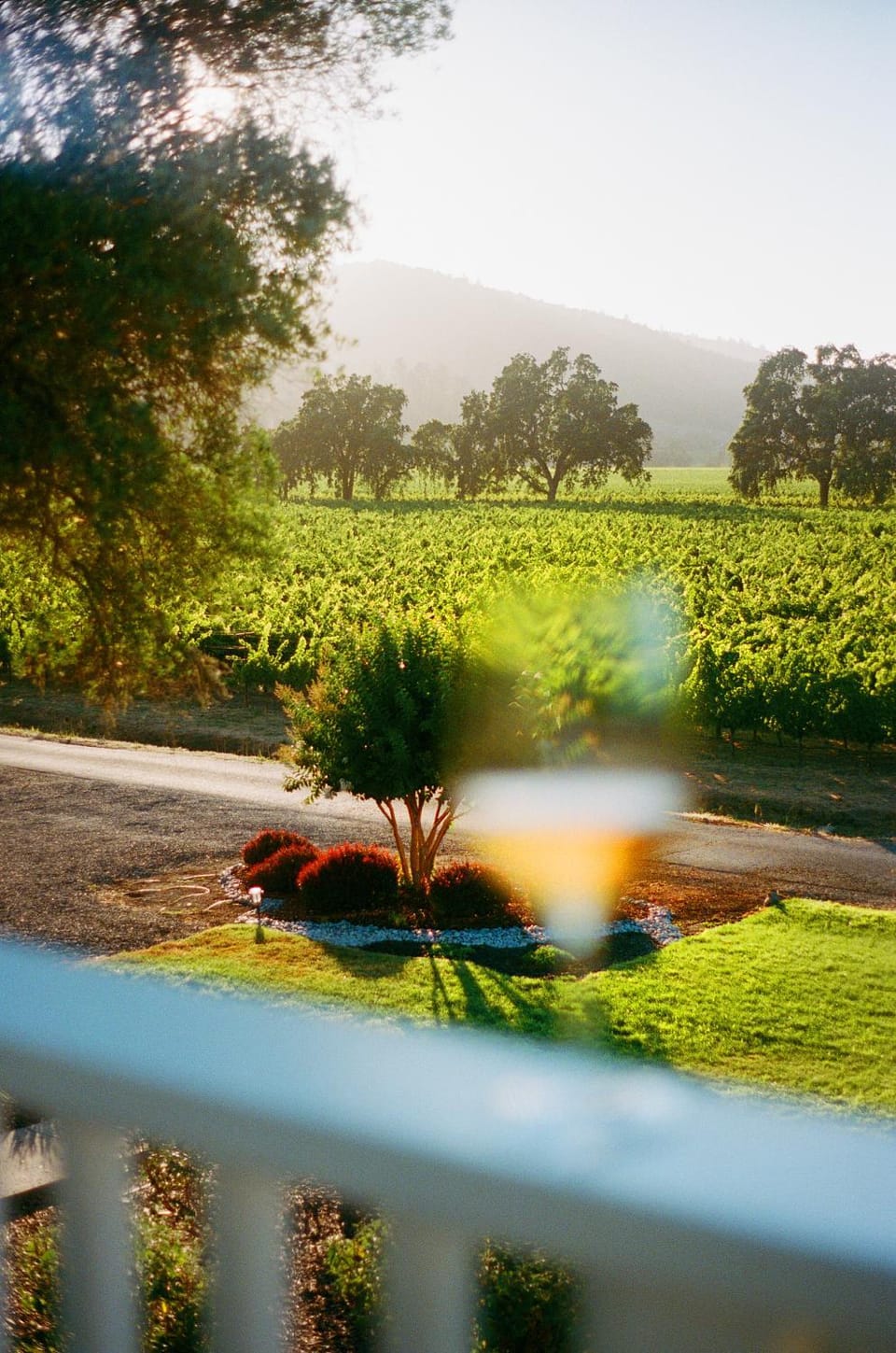 The Setting Inn Napa Valley Inn in Napa Valley