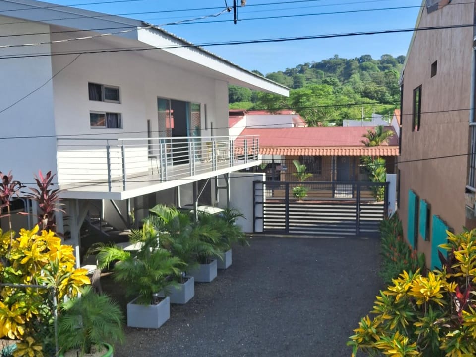 Day, Garden, View (from property/room), Garden view