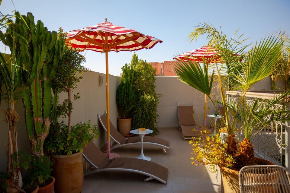 Patio, Spring, Day, Garden, View (from property/room), Balcony/Terrace, Garden view, sunbed