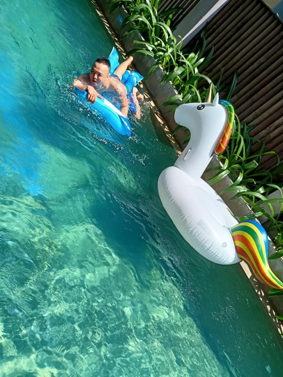 Pool view, Swimming pool