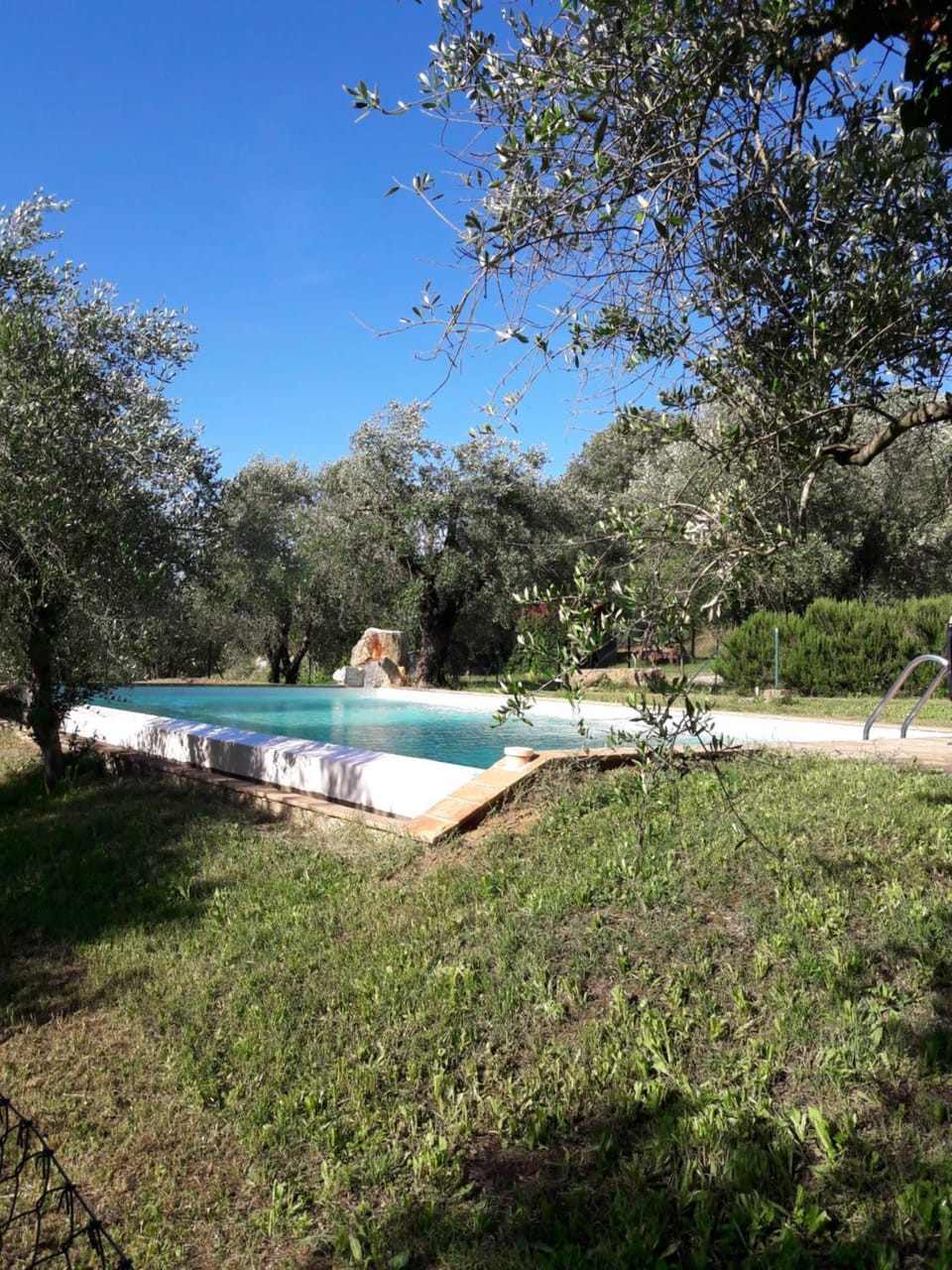 Garden, Pool view, Swimming pool