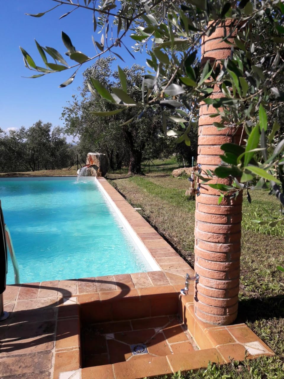 Garden, Decorative detail, Pool view, Swimming pool