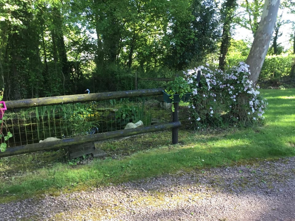 Chambre Melody Bed and Breakfast in Normandy