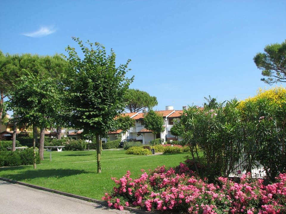 Property building, Neighbourhood, Garden