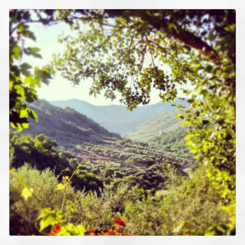 Garden view