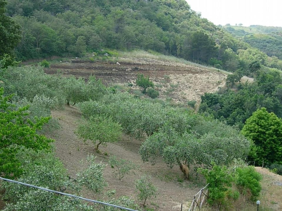 Agriturismo Al Poggetto Farm Stay in Sicily