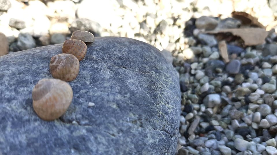 Via Sant'Anna Bed and Breakfast in Levanto