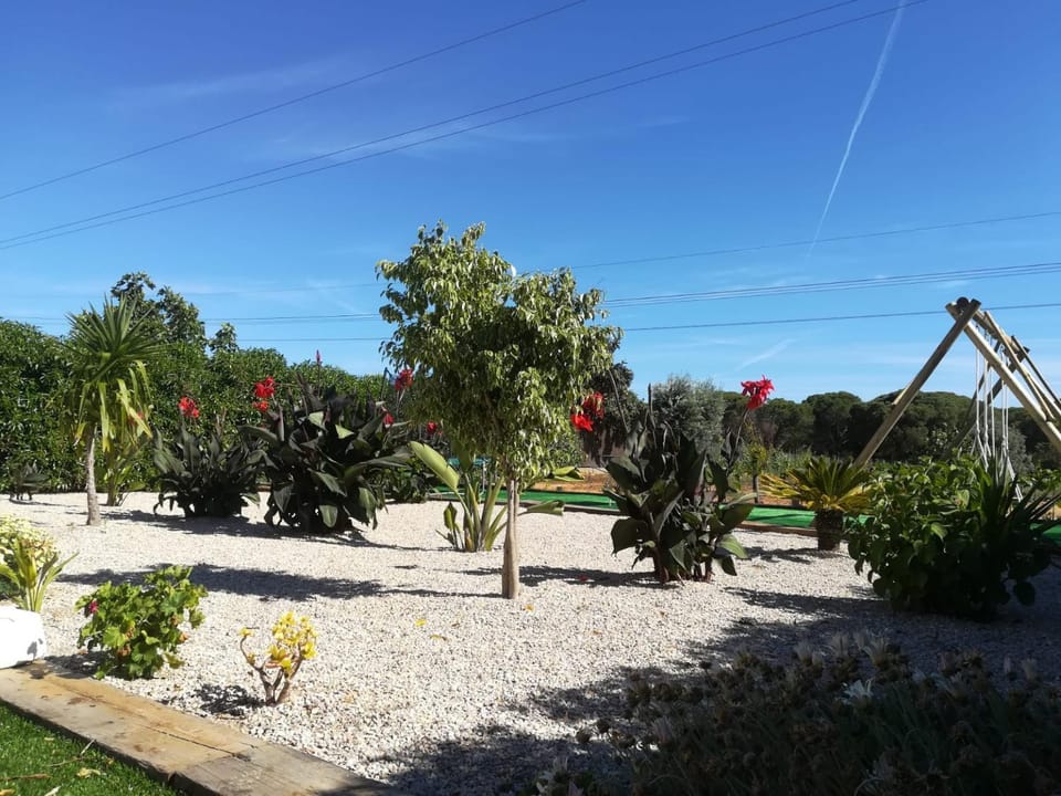 Garden, Garden view