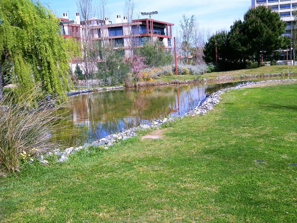 Neighbourhood