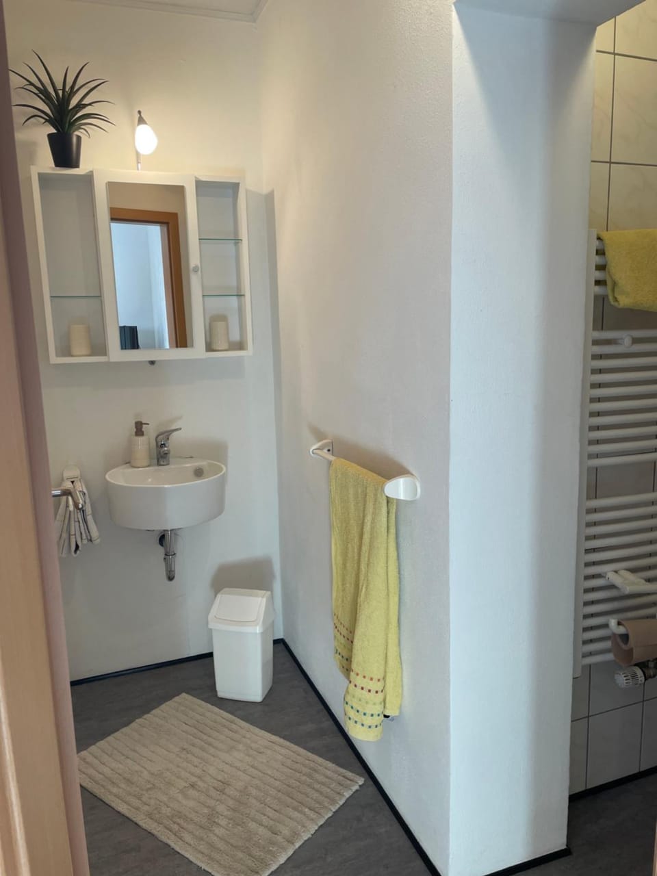 Toilet, Bathroom, towels