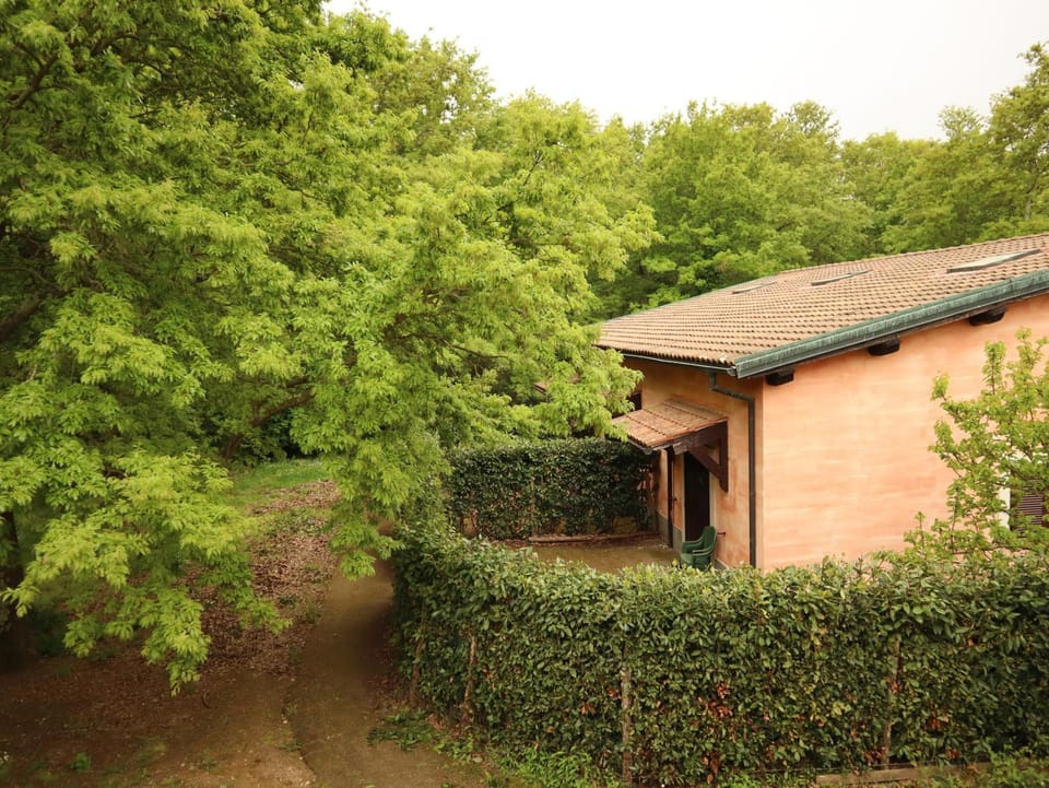 Property building, Natural landscape, Garden