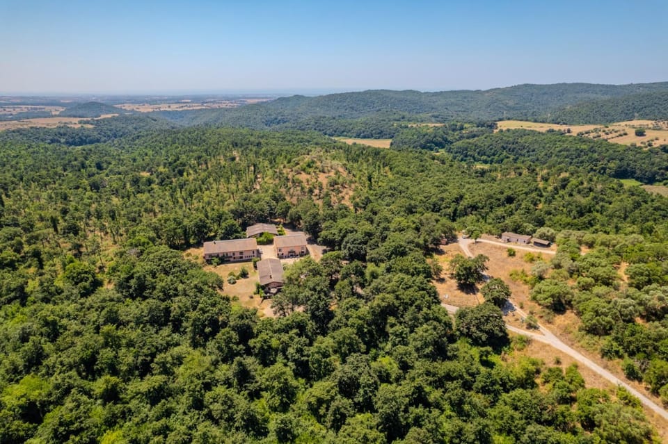 Natural landscape, Bird's eye view