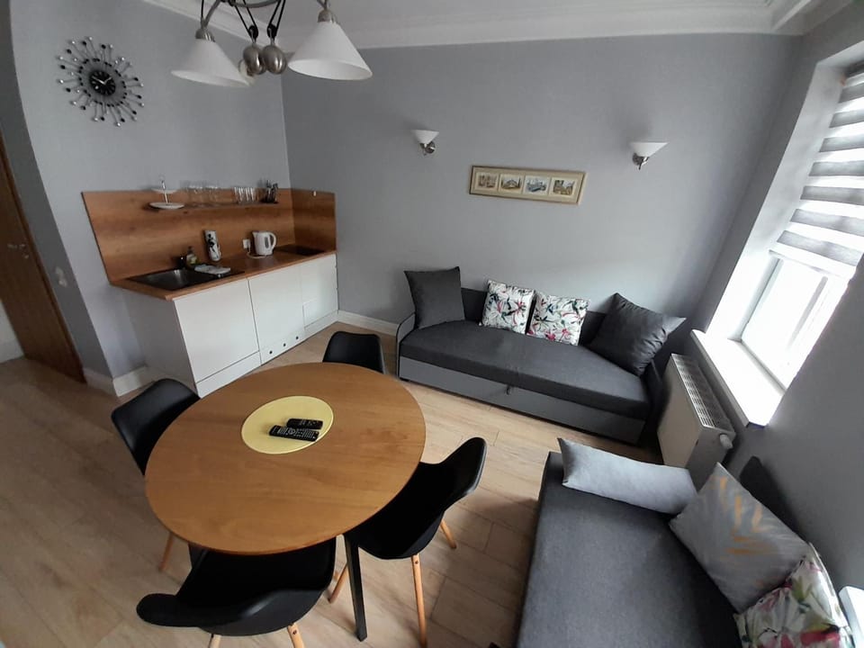 Kitchen or kitchenette, Living room, Photo of the whole room, Dining area