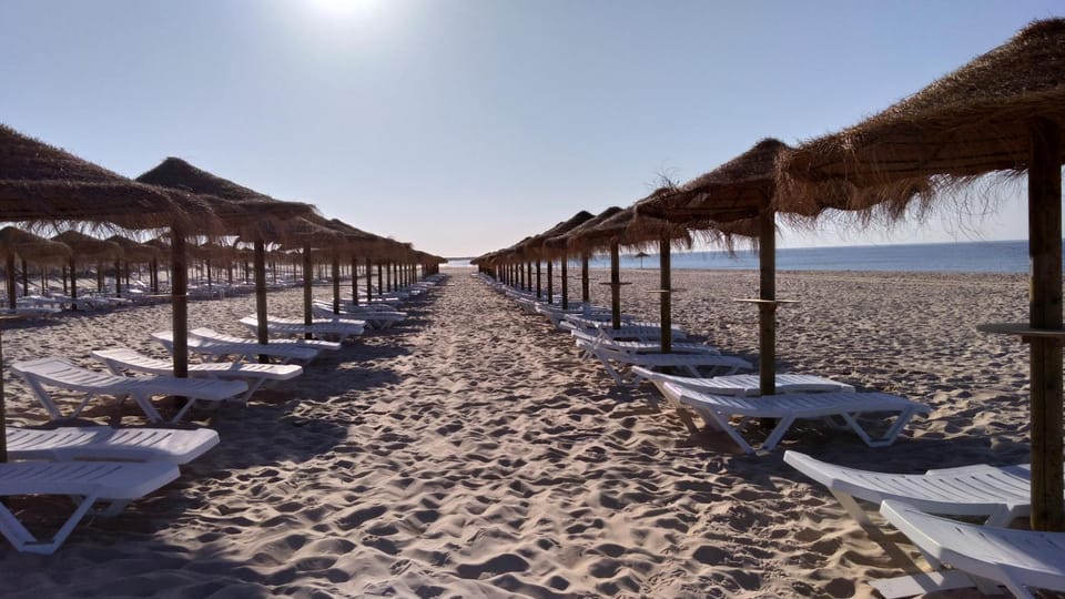 Restaurant/places to eat, Natural landscape, Beach
