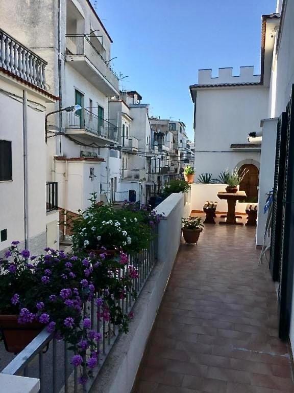 Property building, Neighbourhood, Balcony/Terrace, Street view