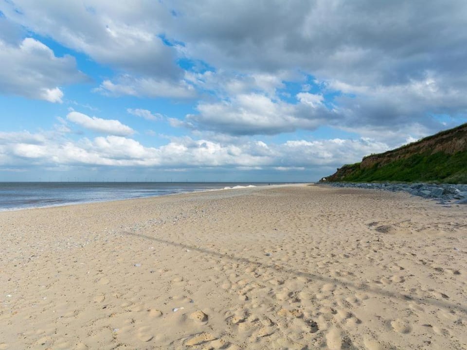 Beach, Pets
