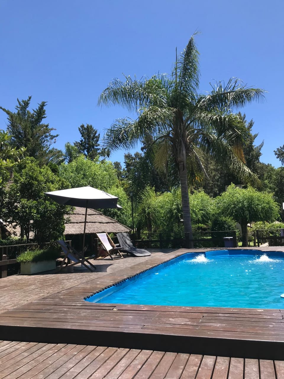 Garden, Garden view, Pool view