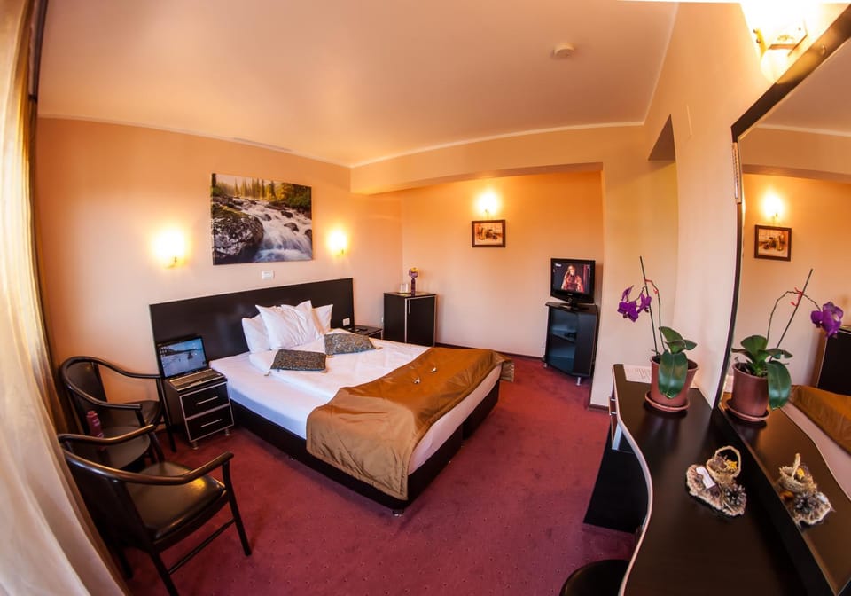 People, Guests, children, young children, older children, group of guests, bunk bed, Family