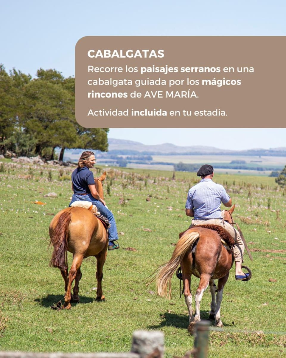 Activities, Horse-riding