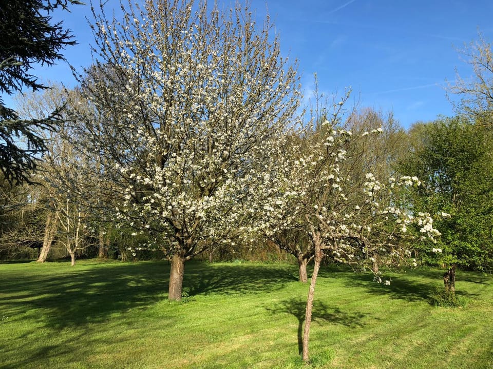 Garden, Garden view