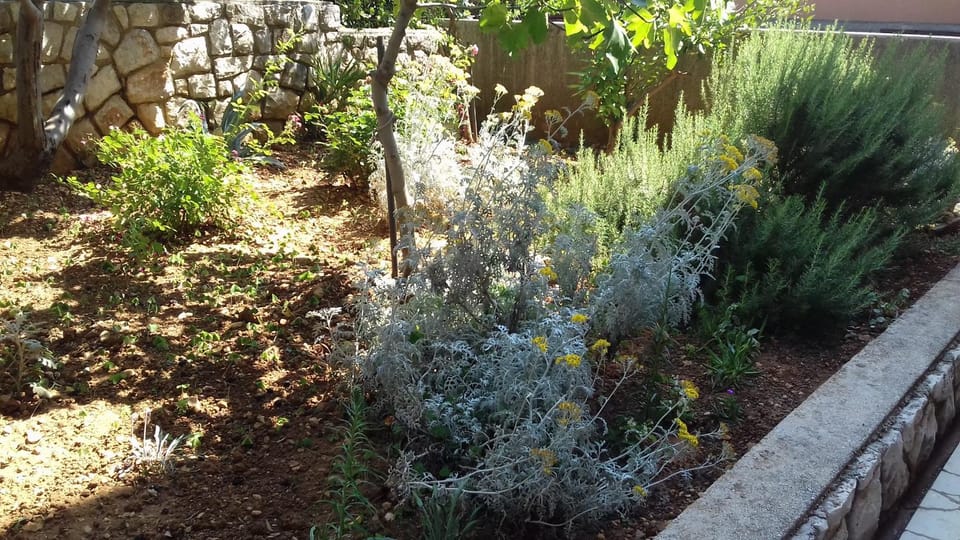 Garden, Garden view