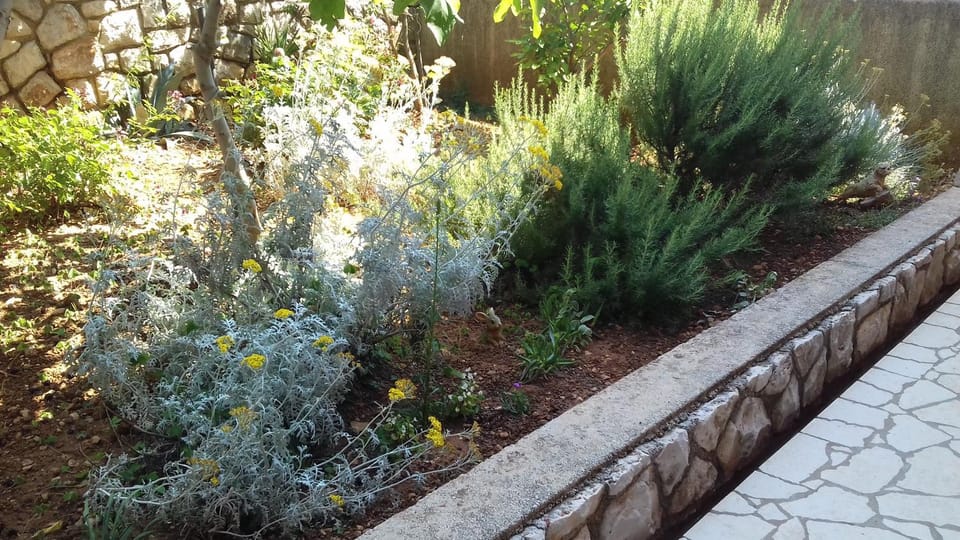 Garden, Other
