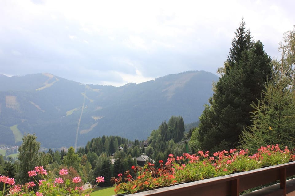 Mountain view