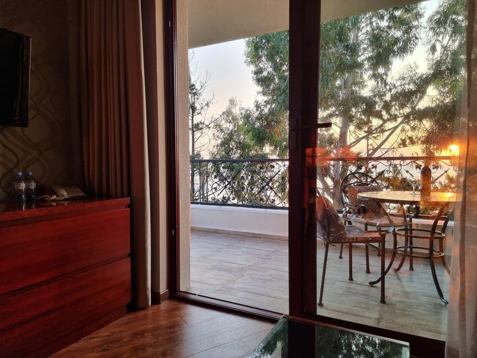 View (from property/room), Balcony/Terrace, Living room