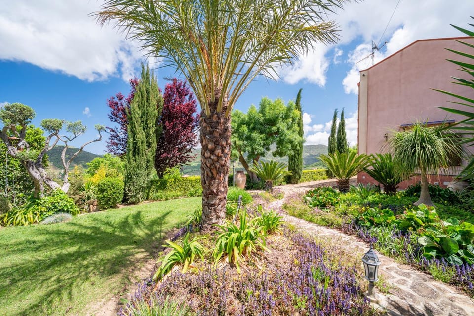 Spring, Garden, Garden view