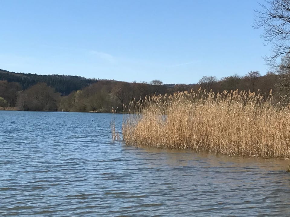 Lake view