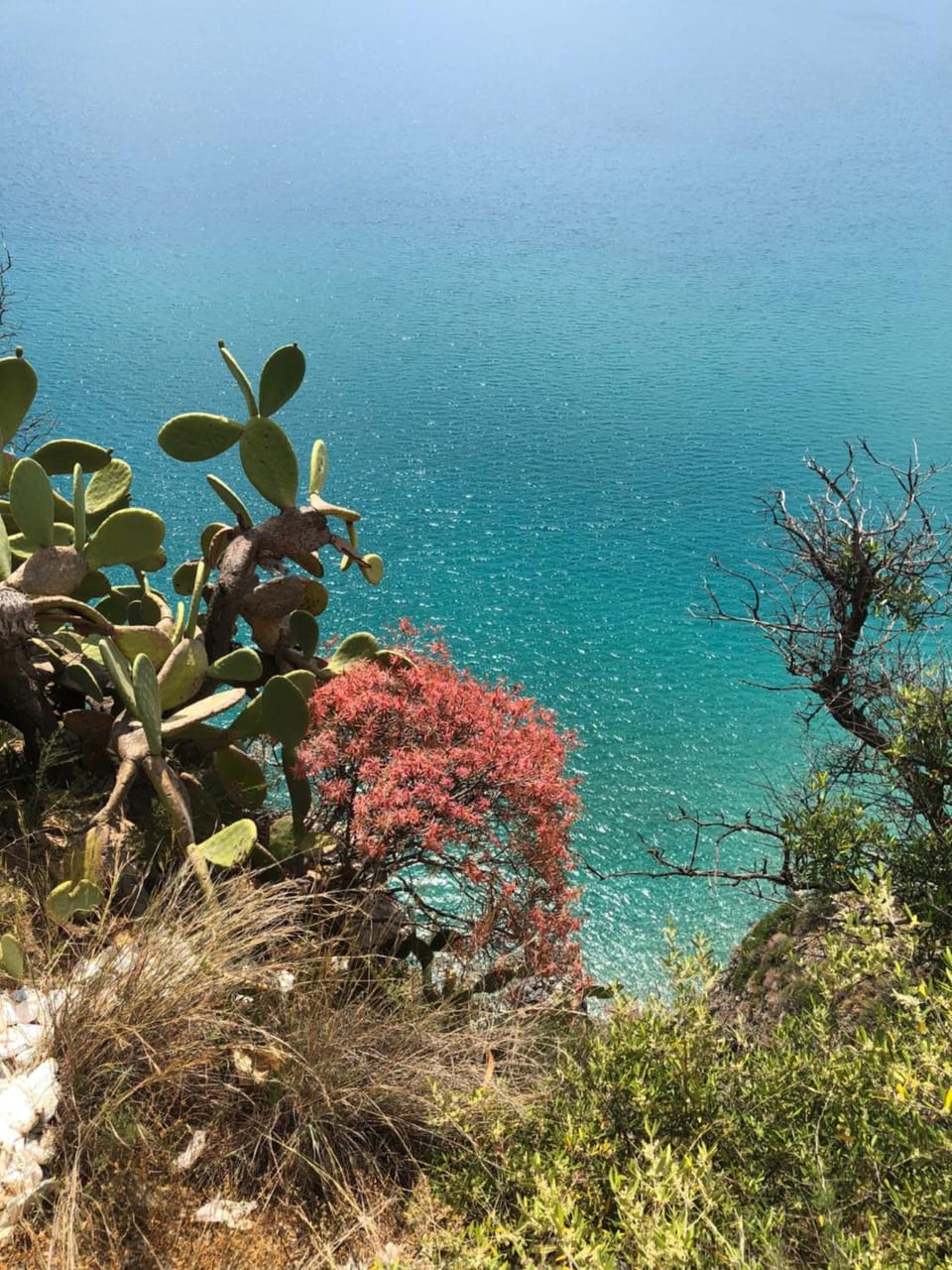 Natural landscape