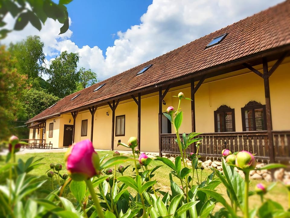 Magdolna Ház House in Slovakia