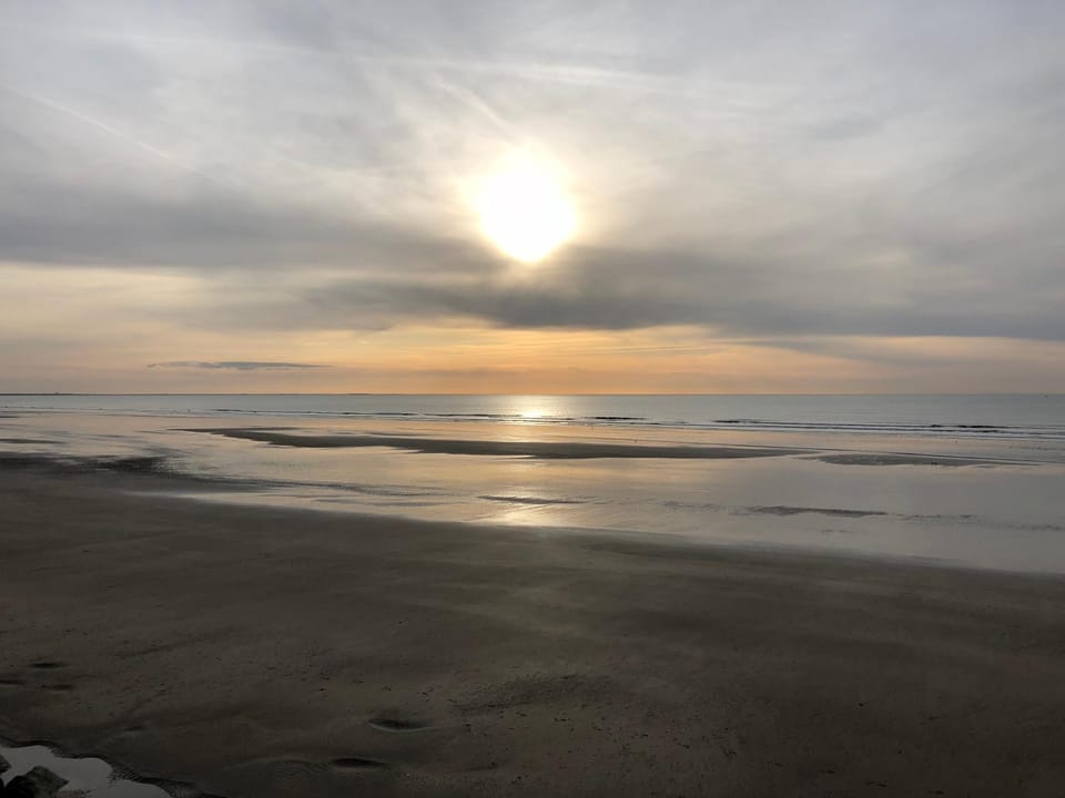 Spring, Natural landscape, Beach, On site, Sunset