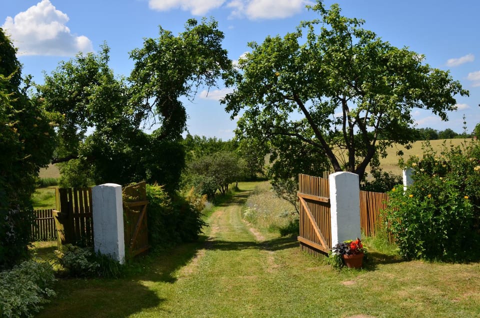 Day, Natural landscape, Summer, Garden, On site, Garden view, Landmark view, Inner courtyard view