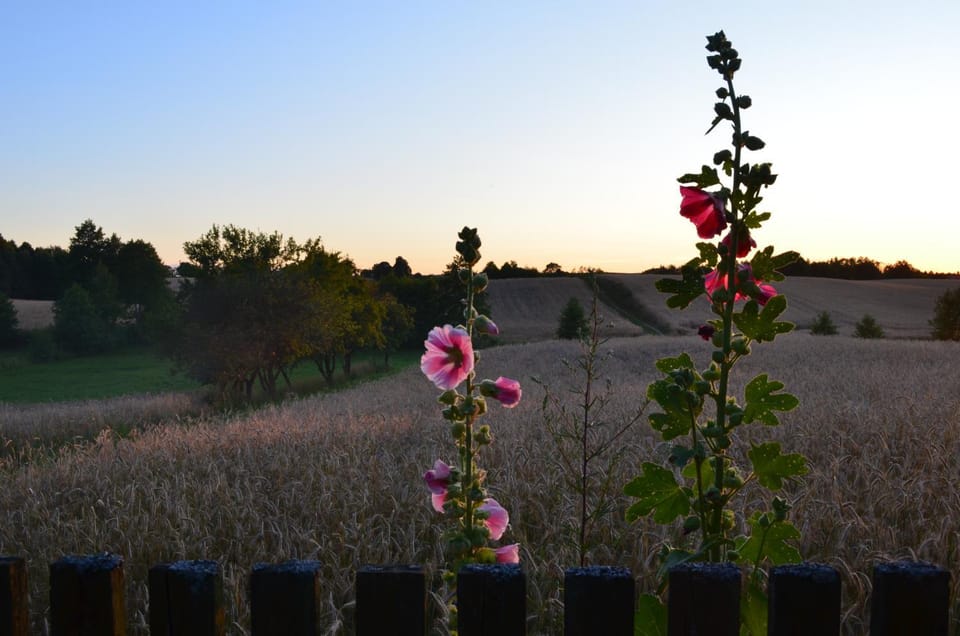 Neighbourhood, Natural landscape, Summer, On site, Sunset
