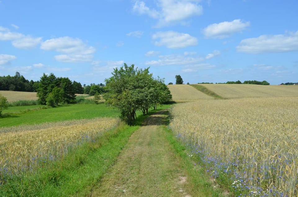 Natural landscape, Hiking