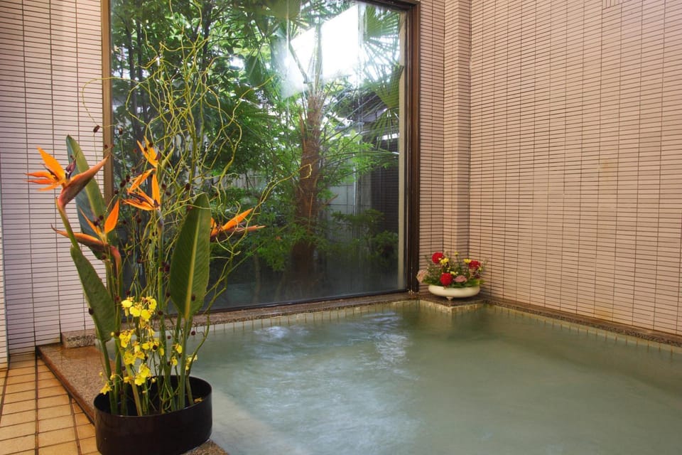 Hot Spring Bath