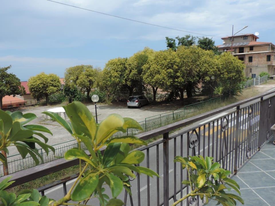 Neighbourhood, Street view