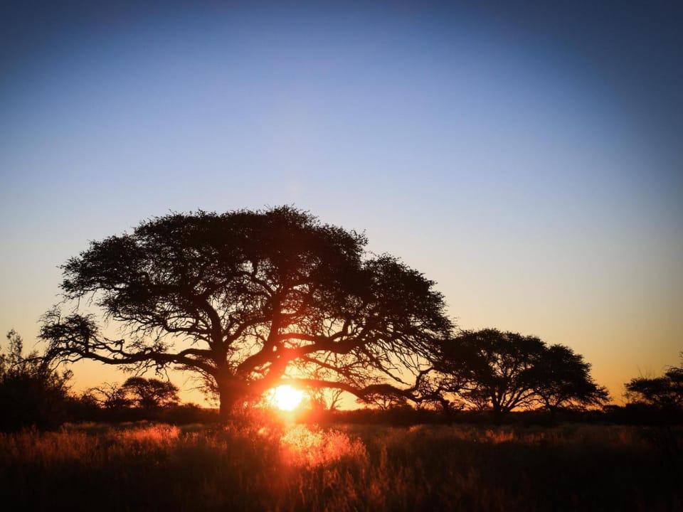 Broadwater River Estate Bed and Breakfast in South Africa