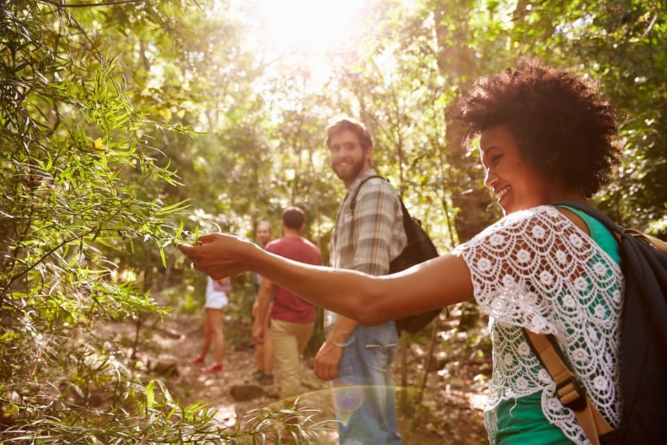 Natural landscape, group of guests