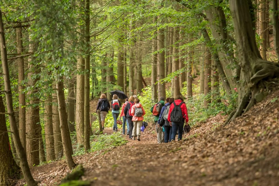 Hiking