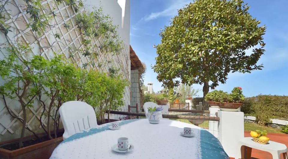 Patio, Patio, Garden, Dining area