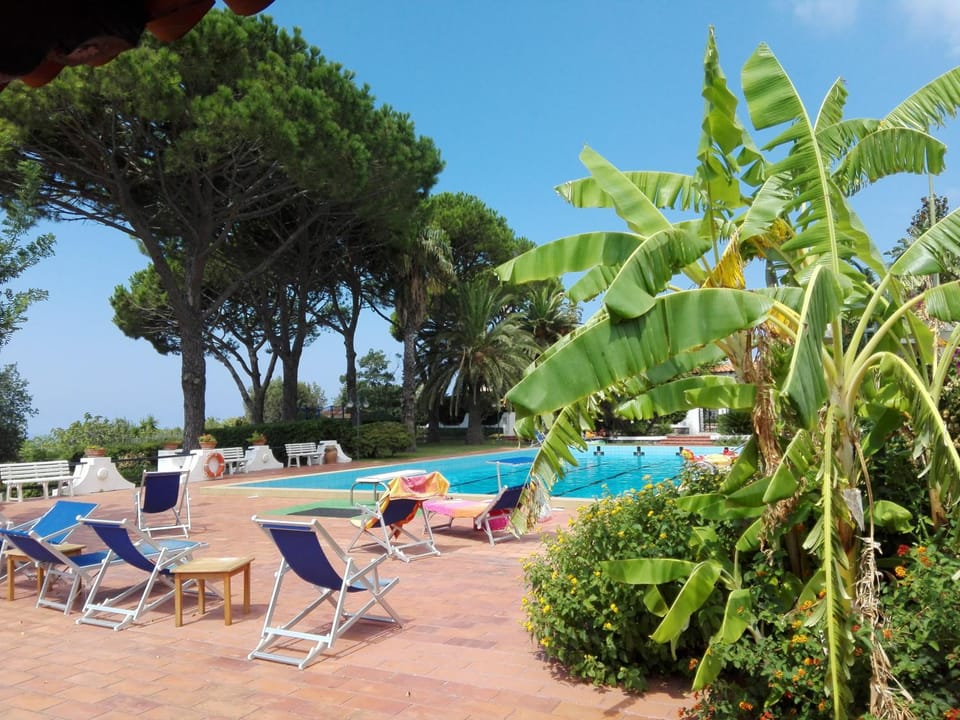 Garden, Solarium, Pool view, Swimming pool, sunbed
