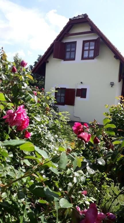 Property building, Garden, Autumn, Garden view