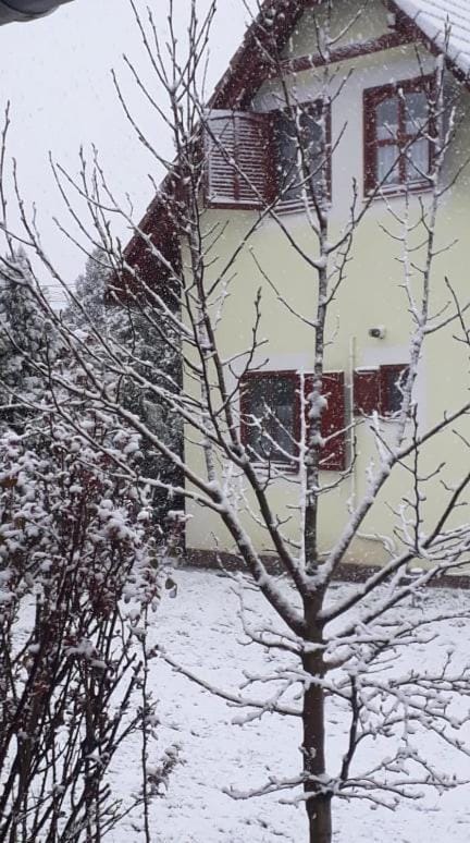 Property building, Winter