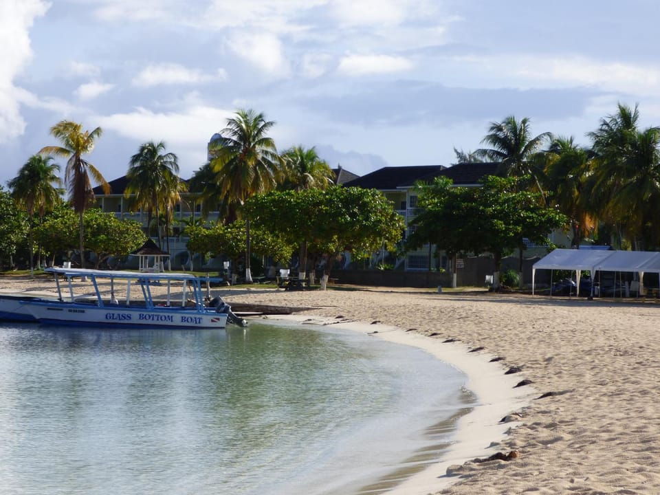 Winter, Beach, On site
