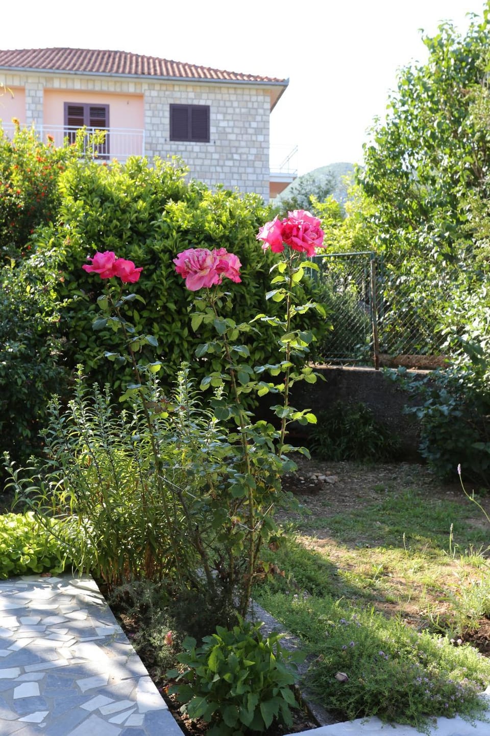 Location, children, Family